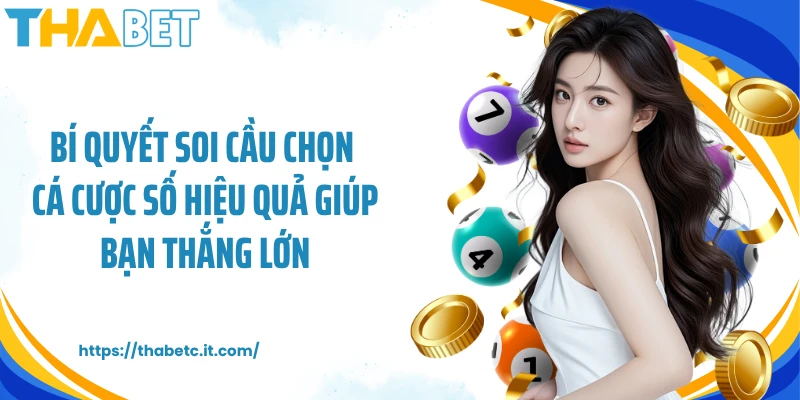 Bí quyết soi cầu chọn cá cược số hiệu quả giúp bạn thắng lớn