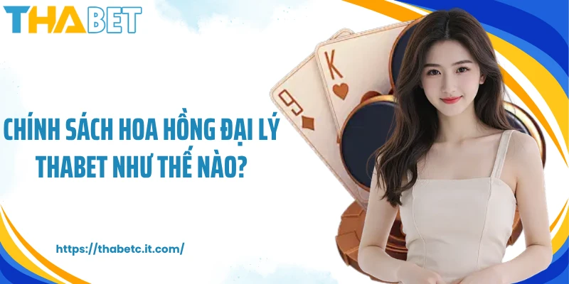 Chính sách hoa hồng đại lý Thabet như thế nào?