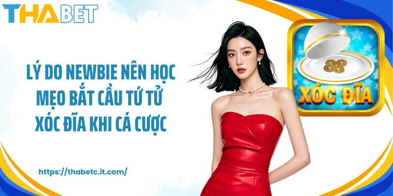 Lý do newbie nên học mẹo bắt cầu tứ tử xóc đĩa khi cá cược