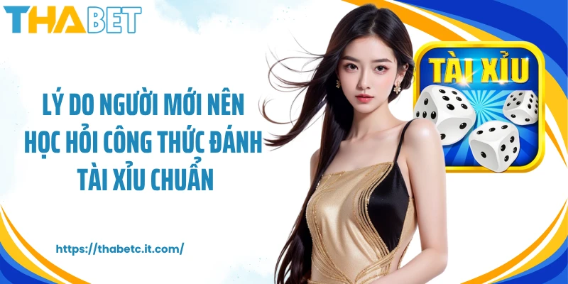 Lý do người mới nên học hỏi công thức đánh tài xỉu chuẩn