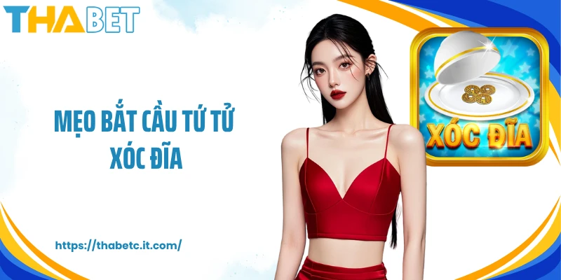 Mẹo Bắt Cầu Tứ Tử Xóc Đĩa Hiệu Quả Theo Cao Thủ Lâu Năm