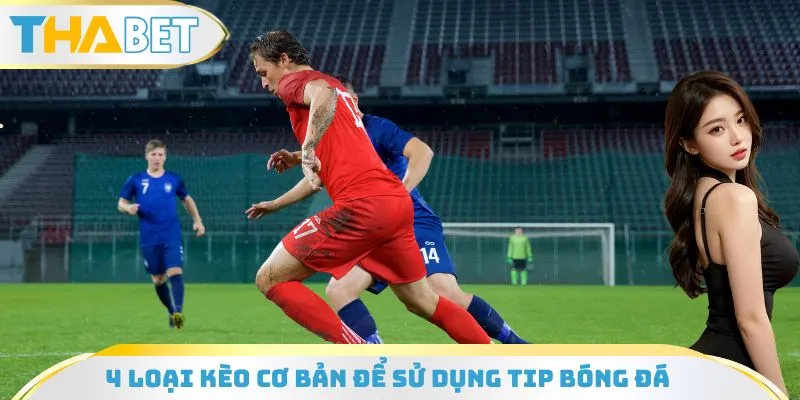 Tìm hiểu 4 loại kèo cơ bản để sử dụng tip bóng đá miễn phí